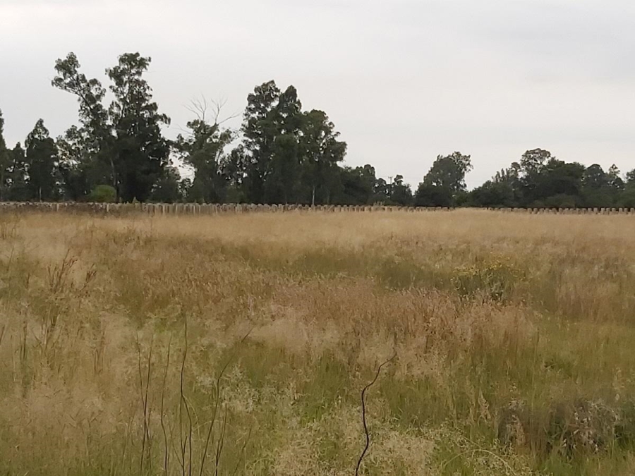 0 Bedroom Property for Sale in Vaalpark Free State